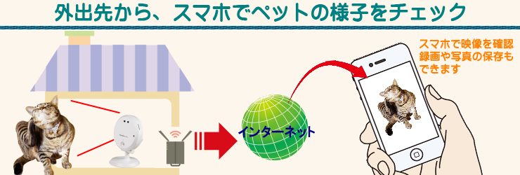 見守りカメラ 静岡市のペットシッター Pal